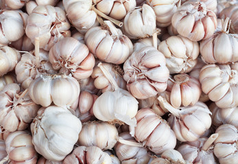 Garlic. Organic vegetable. Food background.