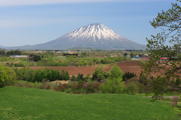 春の羊蹄山麓