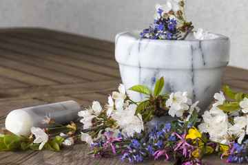 Fototapeta na wymiar Alternative Medicine: preparation of essences of flowers and spring herbs