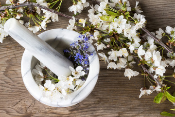 Alternative Medicine: preparation of essences of flowers and spring herbs