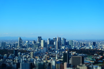 Fototapeta premium 新宿のビル群 