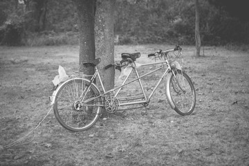 Fototapeta na wymiar Bicyclette de mariage