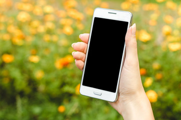 close up white mobile phone in fashionable, trendy woman hands on the background of green grass with flowers during an exercise break