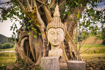 PEACE  , BUDDHA , CHIANG RAI , THAILAND