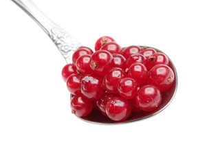 berries red currants in spoon