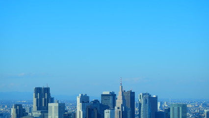 Fototapeta premium 新宿のビル群 