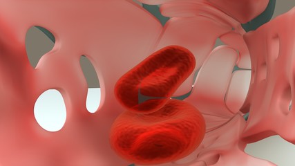 Capillary walls