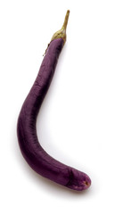 Solanum melongena Μελιτζάνα Cà tím Melanzana חציל perlina Patlıcan Psianka...