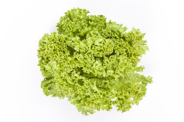 Grüner Salat Freisteller
