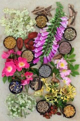 Fototapeta na wymiar Herbs and Flowers for Health