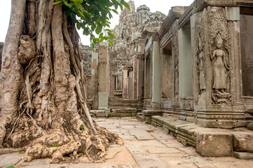 Fototapeta premium Ancient temple Ta Prohm or Rajavihara and trees growing out the