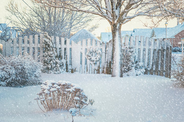 Fototapeta premium Winter Garden with falling snow