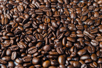 Coffebeans on Neutral Gray Background. Dark Roast Coffee.