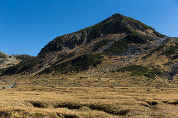 Hiking trail in Mount Tate