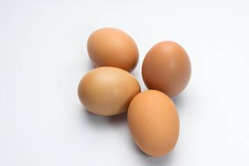 egg on white background
