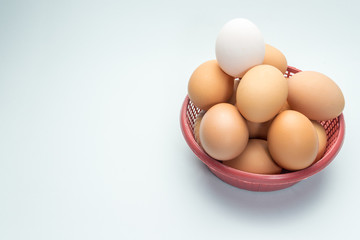 egg in basket on white background and single white egg