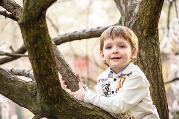 toddler boy in spring time near the blossom tree