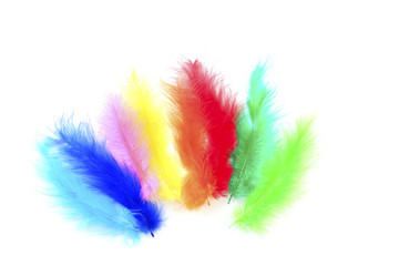 
Colorful feathers backround