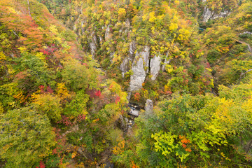 Naruko canyon with autumn foliage