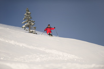 Mid adult man skiing down steep hill in beautiful nature. Behind him is spruce tree.