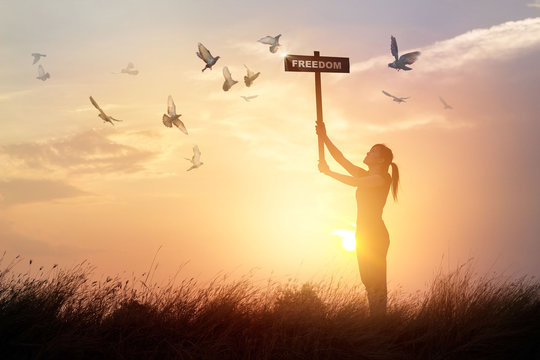 Woman holds a sign with word freedom and flying birds on sunset