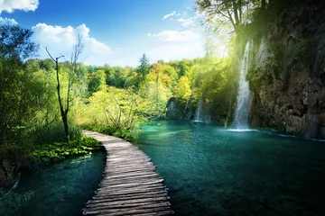 Poster Waterfall in forest,  Plitvice, Croatia © Iakov Kalinin