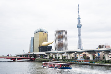 Naklejka premium Business and culture concept - panoramic modern city skyline bird eye aerial view with tokyo skytree under beautiful cloudy sky in Tokyo, Japan