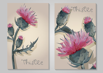 vertical watercolor depicting thistles hand-drawing cards
