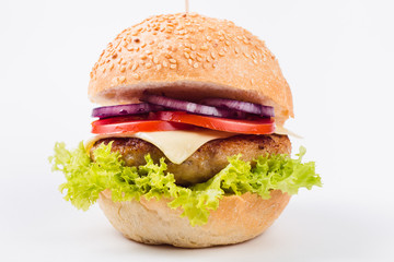 burger on a white background close up