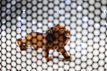 The Lion model. Concept shooting model animals through steelgratingand backgrounds, including blur...