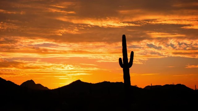 Arizona Desert Sunrise Timelapse