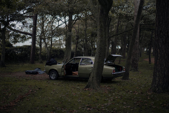 Old Car in a Park