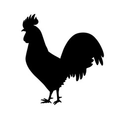 Vector illustration rooster silhouette. Vector cock