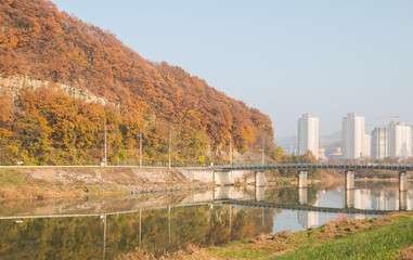 Fototapeta premium 맑은 하천과 아름다운 단풍이 있는 도시 외곽의 가을 풍경
