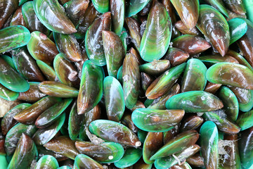 Fresh mussels from the sea. 