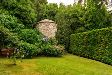 Fototapeta na wymiar Green trees and bush wall. Lawn and flowers. Amazing beauty of summer nature.