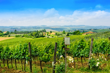 Fototapeta na wymiar Tuscany Countryside in Italy