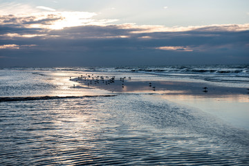 Obraz premium Sonnenuntergang mit Spiegelung am Strand von Koksijde, Belgien