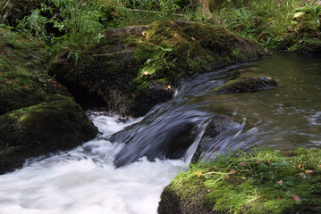 Fototapeta premium Landschaft & Kraft der Natur
