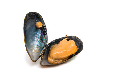 group of boiled mussels in shells