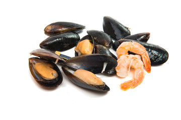 group of boiled mussels in shells