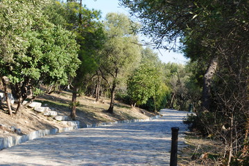 Gepflasterte Straße in Griechenland