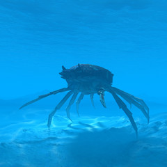 crab underwater 3d rendering