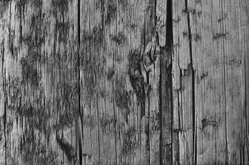 Natural Weathered Grey Tan Taupe Sepia Wooden Board, Cracked Rough Cut Wood Texture, Large Detailed...