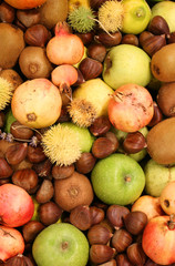 chestnuts pomegranates big apples and many autumn fruits
