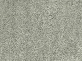 Fototapeta na wymiar Light green-gray background leather. Textured stone