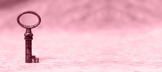 Key - success and solution concept website banner in pink