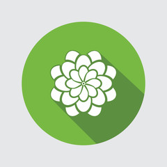 Flower icon. Dahlia, aster, daisy, chrysanthemum, gowan. Summer, autumn floral symbol. Round green flat sign with long shadow. Vector isolated. - 132990469