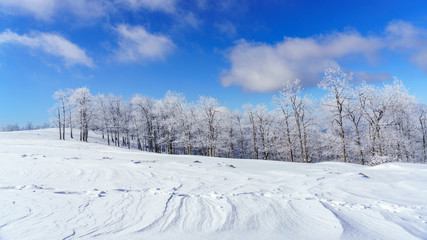 Fototapeta na wymiar Winter Meadow Bearwallow Mountain, Appalachian Mountains, North Carolina 