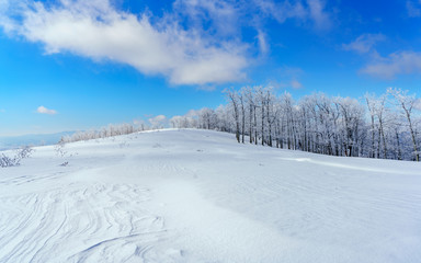 On The Mountaintop 
Bearwallow Mountain, Appalachian Mountains, North Carolina 
